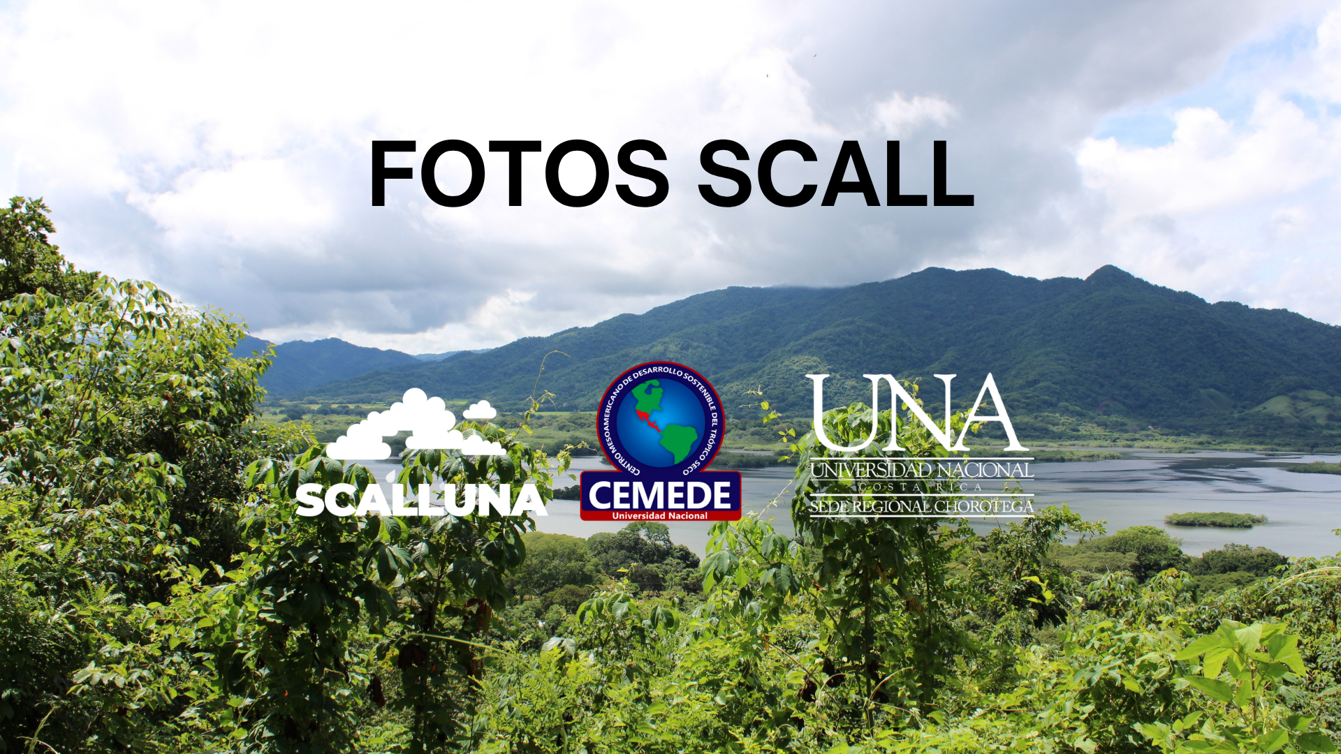 https://mailchi.mp/a275d4f3c18c/scall-una